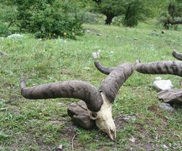 9dabf885ee-Azerbadjan IMG_7159