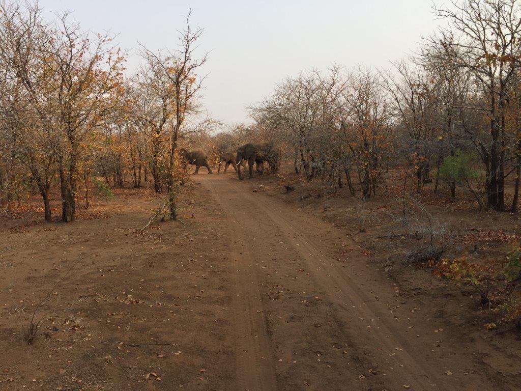 zimbabwe_IMG_0939