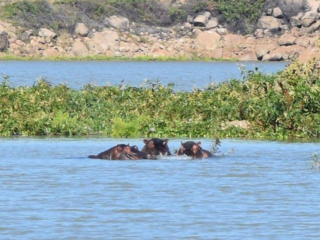 zimbabwe_IMG_0939_v2